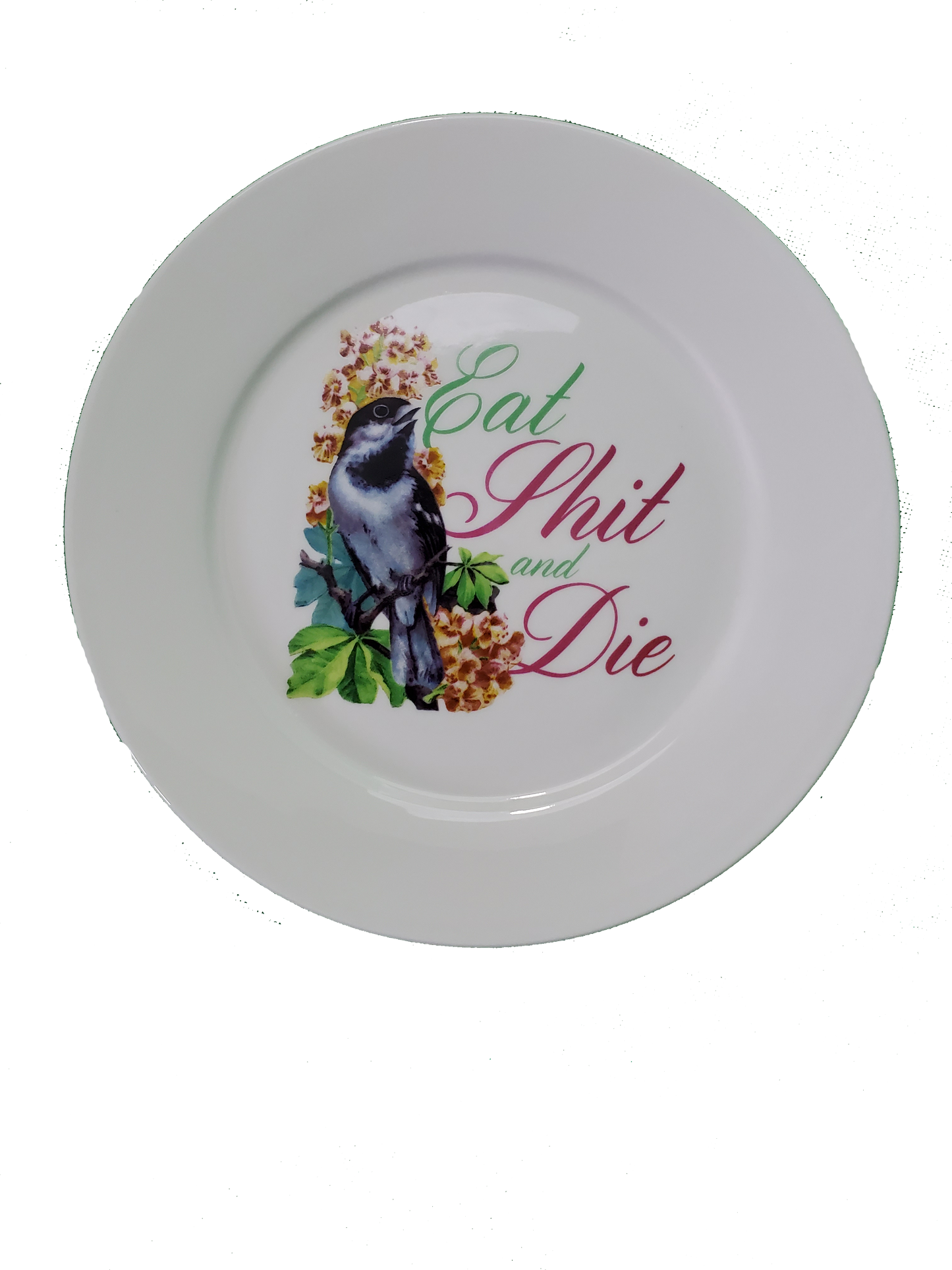 Honest Dinner Plate
