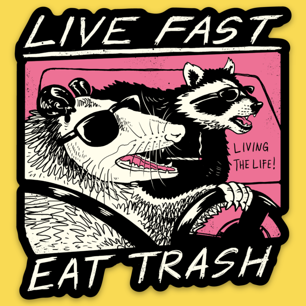 Wicked Clothes - 'Live Fast Eat Trash' Sticker