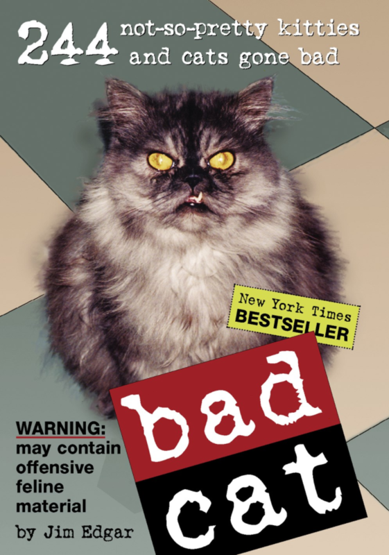 Microcosm Publishing - Bad Cat